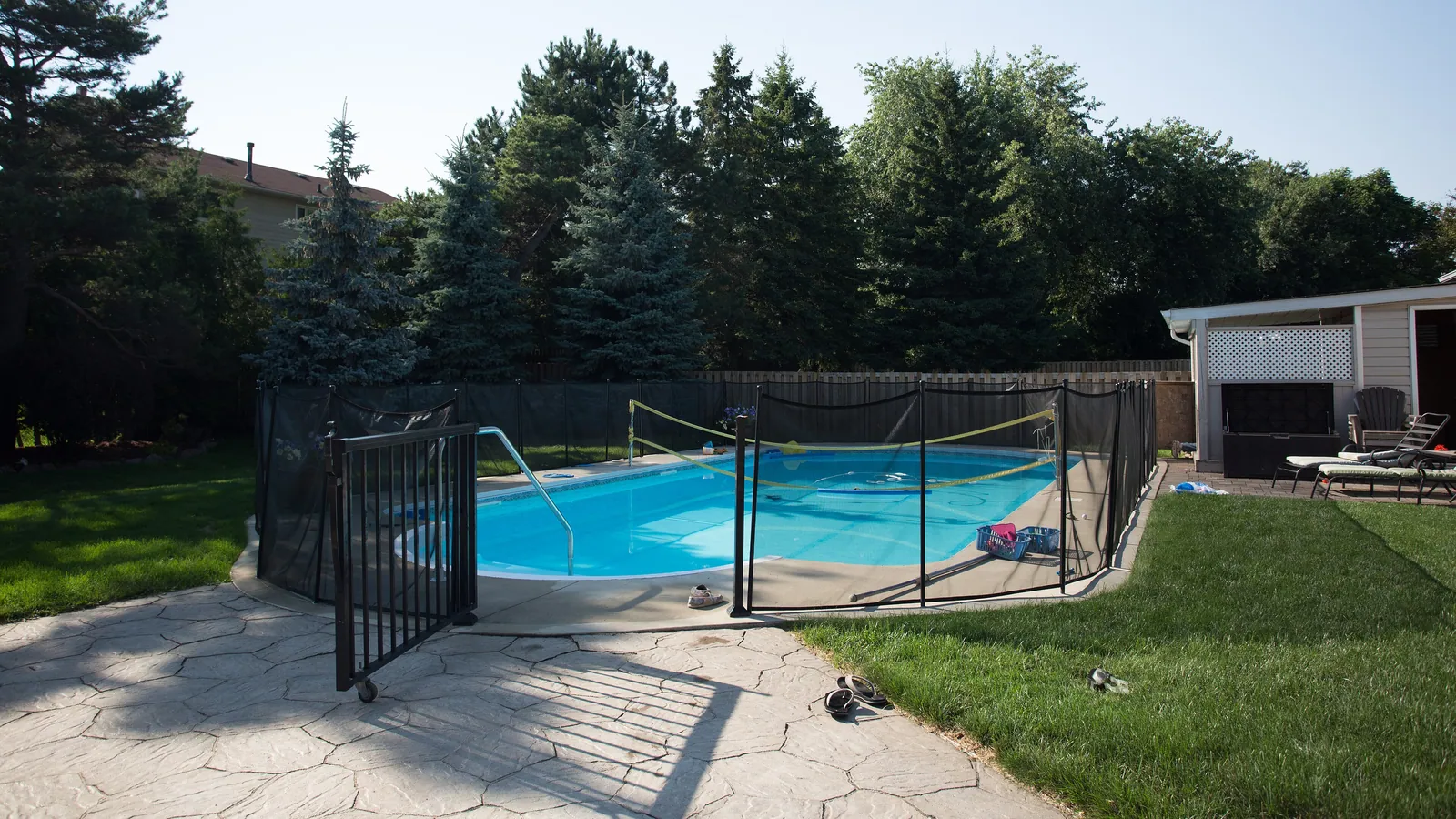 An in-ground backyard pool enclosed by a black mesh safety fence, with a paved deck in the foreground, mown lawn either side and a row of tall conifers behind.