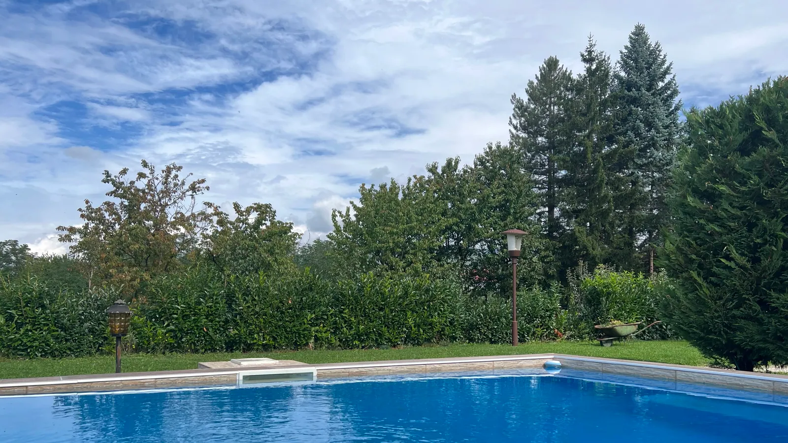 A rectangular blue pool set flush into a lawn, with a clipped hedge along one side and tall conifers against a partly clouded sky.