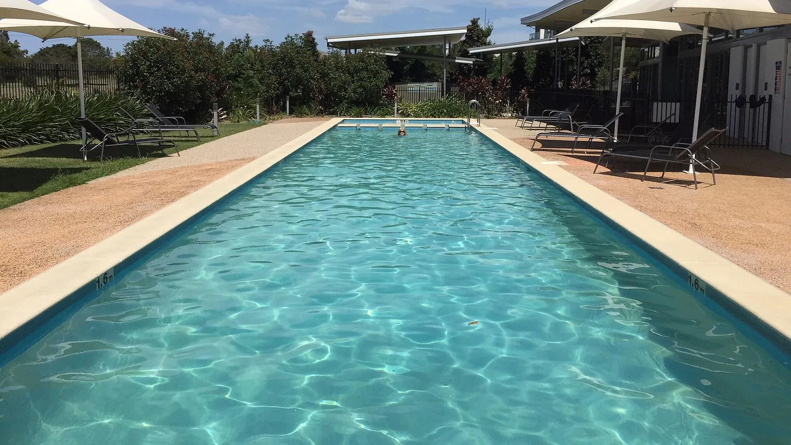 A long rectangular pool seen down its length, with sun loungers along one side under white shade sails and planting behind.